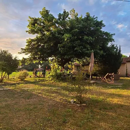 Bright Cozy 3 Bed - Renovated - Close Holiday home Soustons